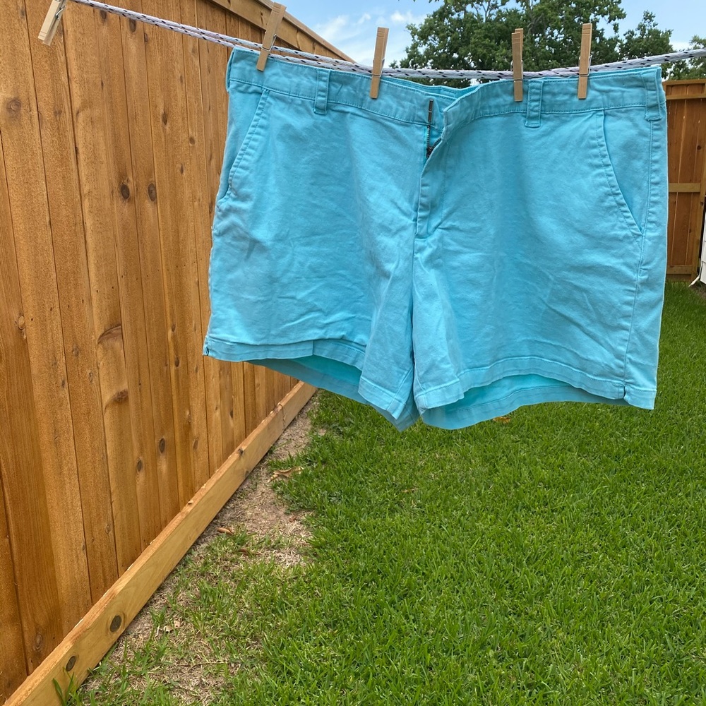 Lane Bryant shorts. Great condition